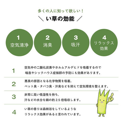 い草 枕 まくら日本製 高さ調節可能 50×30cm インテリア かわいい おしゃれ 寝具 国産 い草 ギフト 箱付き 男性向け 抗菌防臭 消臭 プレゼント 父の日 母の日 ギフト くぼみ平枕 頸椎安定(代引不可)