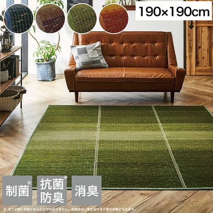 ラグ 190×190cm 小林製薬 持続性抗菌剤 KOBA-GUARD 制菌 抗菌防臭 滑り止め 不織布 夏 い草 グラデーション(代引不可)