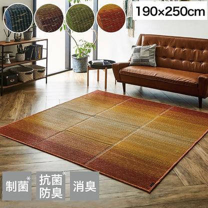 ラグ 190×250cm 小林製薬 持続性抗菌剤 KOBA-GUARD 制菌 抗菌防臭 滑り止め 不織布 夏 い草 グラデーション(代引不可)