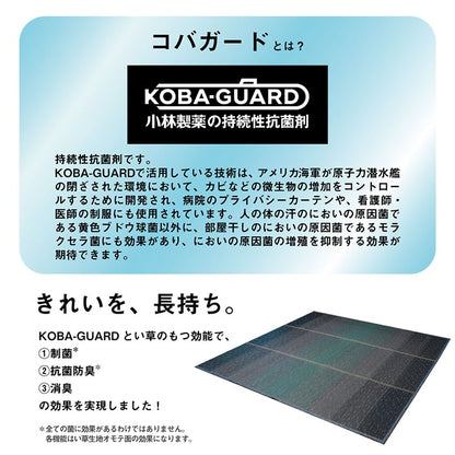 ラグ 190×250cm 小林製薬 持続性抗菌剤 KOBA-GUARD 制菌 抗菌防臭 滑り止め 不織布 夏 い草 グラデーション(代引不可)