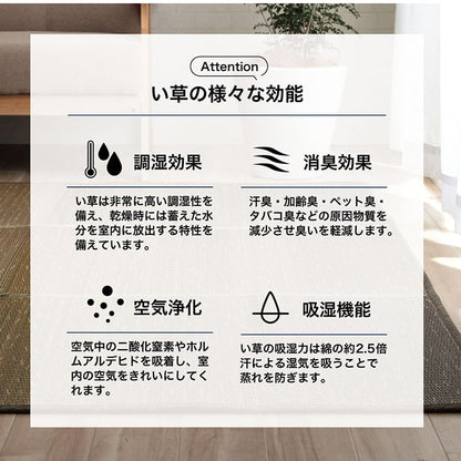 ラグ 190×250cm 小林製薬 持続性抗菌剤 KOBA-GUARD 制菌 抗菌防臭 滑り止め 不織布 夏 い草 グラデーション(代引不可)