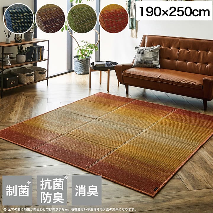 ラグ 190×250cm 小林製薬 持続性抗菌剤 KOBA-GUARD 制菌 抗菌防臭 滑り止め 不織布 夏 い草 グラデーション(代引不可)