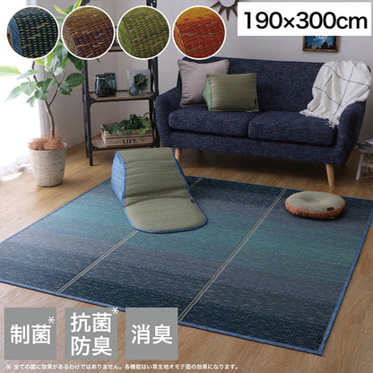 ラグ 190×300cm 小林製薬 持続性抗菌剤 KOBA-GUARD 制菌 抗菌防臭 滑り止め 不織布 夏 い草 グラデーション(代引不可)