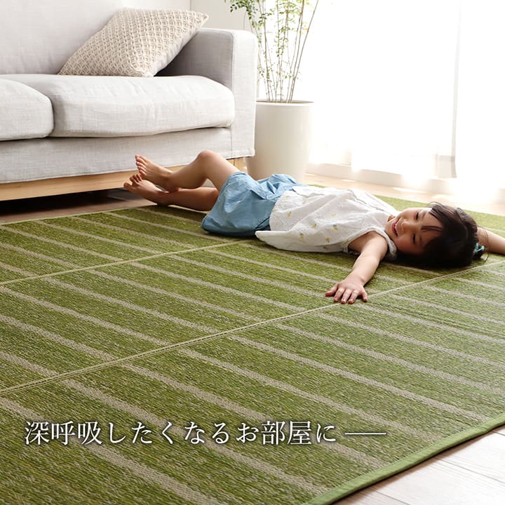 ラグ 4.5畳 240×240cm 正方形 い草 自然素材 シンプル ボーダー 裏面すべり止め付き 滑りにくい 抗菌防臭(代引不可)