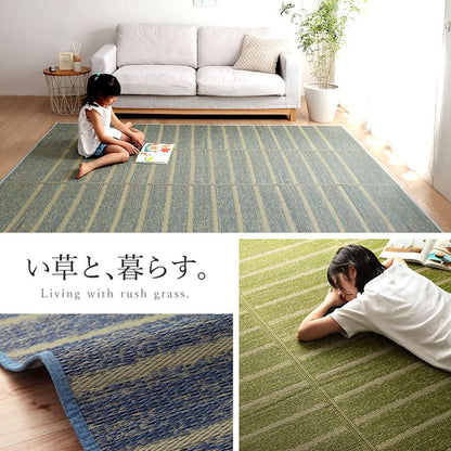 ラグ 4.5畳 240×240cm 正方形 い草 自然素材 シンプル ボーダー 裏面すべり止め付き 滑りにくい 抗菌防臭(代引不可)