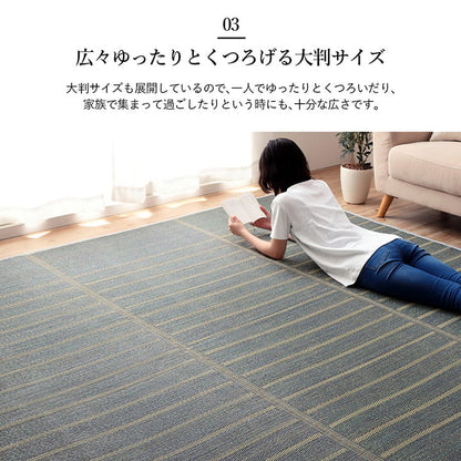 ラグ 4.5畳 240×240cm 正方形 い草 自然素材 シンプル ボーダー 裏面すべり止め付き 滑りにくい 抗菌防臭(代引不可)