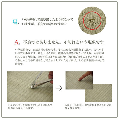 ラグ 6畳 240×320cm 長方形 い草 自然素材 シンプル ボーダー 裏面すべり止め付き 滑りにくい 抗菌防臭(代引不可)