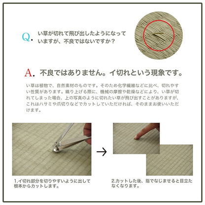 い草 ラグ 3畳 長方形 180×240cm カーペット シンプル 格子 消臭 抗菌防臭 ふっくら 滑り止め 不織布(代引不可)