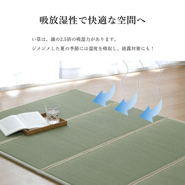 い草 ユニット 約100×200cm マットレス 畳 軽量 抗菌防臭 消臭 防音 断熱性 お手入れ 簡単 楽 収納 便利 シンプル インテリア 北欧 おしゃれ オールシーズン 新生活 リビング 寝具(代引不可)