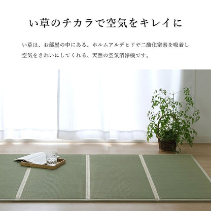 い草 ユニット 約100×200cm マットレス 畳 軽量 抗菌防臭 消臭 防音 断熱性 お手入れ 簡単 楽 収納 便利 シンプル インテリア 北欧 おしゃれ オールシーズン 新生活 リビング 寝具(代引不可)