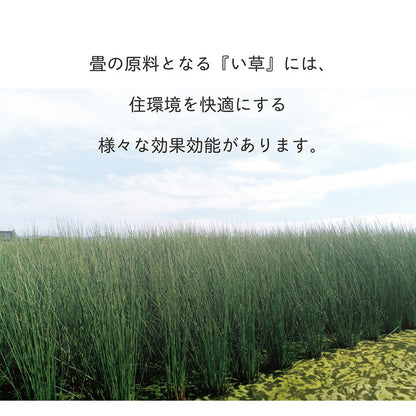 い草 置き畳 約70×70×1.5cm 単品 ユニット畳 システム畳 無地 シンプル ナチュラル 消臭 縁無し お手入れ簡単 裏面滑り止め 収納便利 絨毯 じゅうたん マット カーペット インテリア オールシーズン(代引不可)