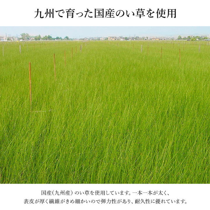 玄関マット 約35×90cm い草 高級感 モダン おすすめ 上がり框 和モダン おしゃれ クッション性 花柄 高級感 室内 天然素材 インテリア オールシーズン ラグ カーペット おしゃれ 北欧(代引不可)