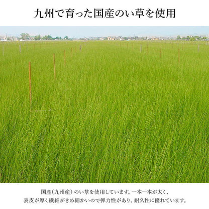 玄関マット 約35×120cm い草 高級感 モダン おすすめ 上がり框 和モダン おしゃれ クッション性 花柄 高級感 室内 天然素材 インテリア オールシーズン ラグ カーペット おしゃれ 北欧(代引不可)