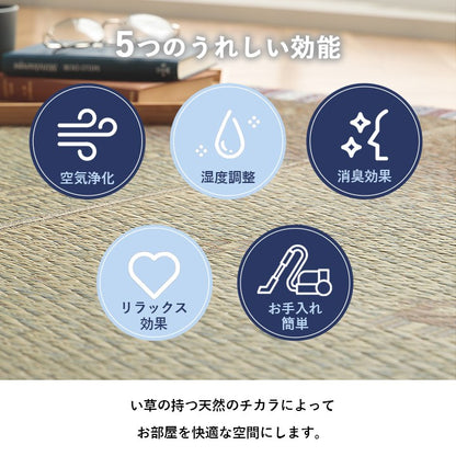 い草ラグ 約180×240cm カーペット夏用 自然素材 節電 快適 インテリア ギャベル柄 シンプル おしゃれ おすすめ 湿度調節 消臭 効果 お手入れ簡単 おしゃれ オールシーズン 新生活 シンプル(代引不可)