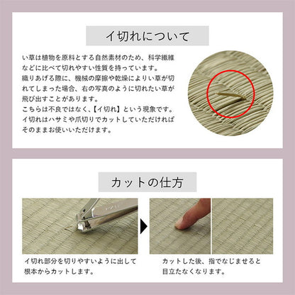 い草 畳 180×180cm ラグ カーペット 自然素材 インテリア おしゃれ かわいい 和室 夏用 節電 無地 涼しい ブロック調柄 リビング ダイニング オールシーズン いぐさ(代引不可)