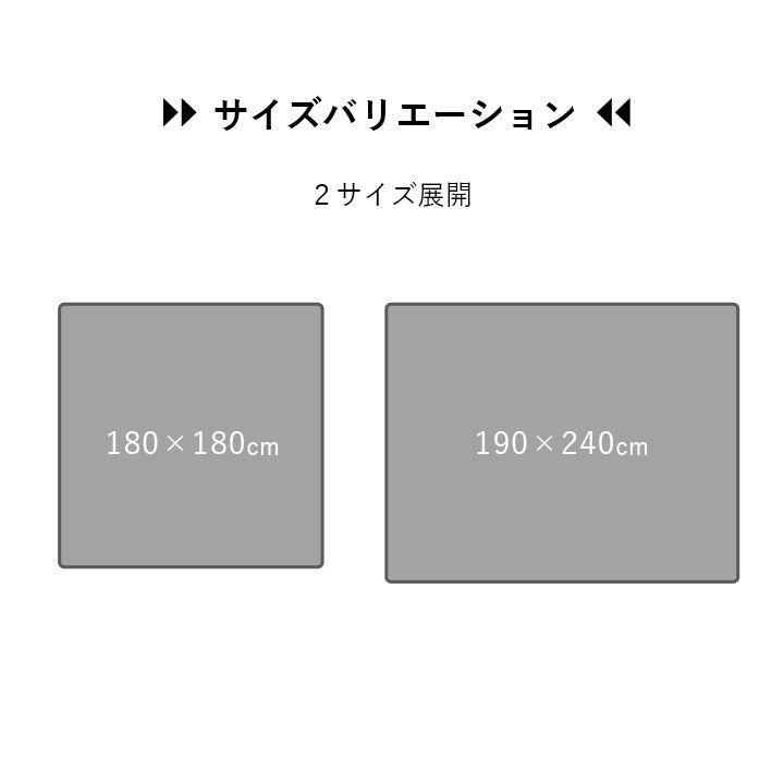 ラグ おしゃれ 長方形 オールシーズン 滑り止め 薄手 ギャッベ ベージュ 約190×240cm ルース(代引不可)