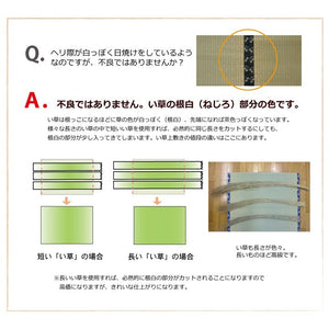 い草 上敷き い草上敷 はっ水 カーペット 無地 『撥水 湖水』 江戸間4.5畳(約261×261cm) 撥水 湖水(代引不可)