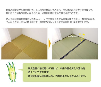 い草 上敷き い草上敷 はっ水 カーペット 無地 『撥水 湖水』 江戸間4.5畳(約261×261cm) 撥水 湖水(代引不可)