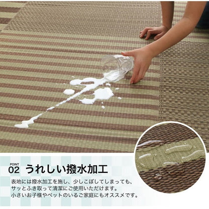 ラグ い草 撥水 滑り止め 不織布 格子柄 シンプル カジュアル 抗菌防臭 ブラウン 約190×300cm ラスタ(撥水)(代引不可)