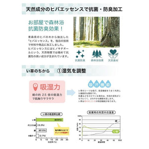 ラグ い草 撥水 滑り止め 不織布 格子柄 シンプル カジュアル 抗菌防臭 ブラウン 約190×300cm ラスタ(撥水)(代引不可)