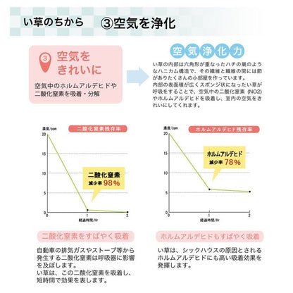 ラグ い草 撥水 滑り止め 不織布 格子柄 シンプル カジュアル 抗菌防臭 ブラウン 約190×300cm ラスタ(撥水)(代引不可)