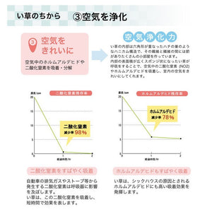 ラグ い草 撥水 滑り止め 不織布 格子柄 シンプル カジュアル 抗菌防臭 ブラウン 約190×300cm ラスタ(撥水)(代引不可)