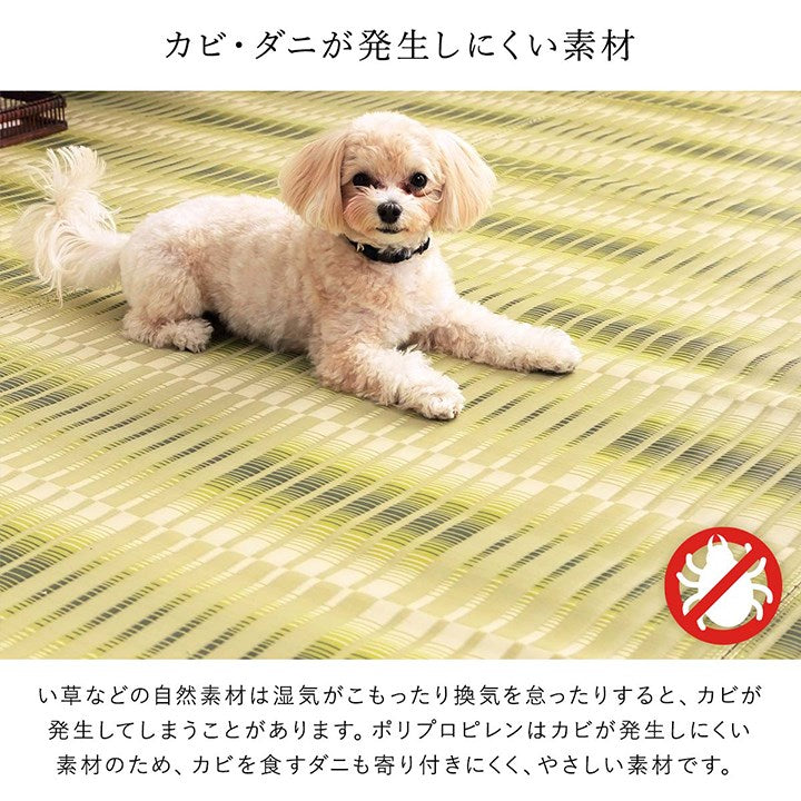 ラグ 本間6畳 約286×382cm 洗える ござ 日本製 国産 カーペット 丈夫 除菌スプレー対応 敷詰 ラグ 敷物 アウトドア レジャー ペット インテリア おしゃれ オールシーズン 絨毯 マット(代引不可)