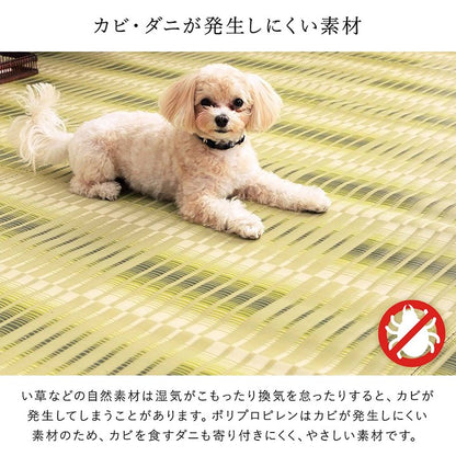 ラグ 本間10畳 約477×382cm 洗える ござ 日本製 国産 カーペット 丈夫 除菌スプレー対応 敷詰 ラグ 敷物 アウトドア レジャー ペット インテリア おしゃれ オールシーズン 絨毯 マット(代引不可)