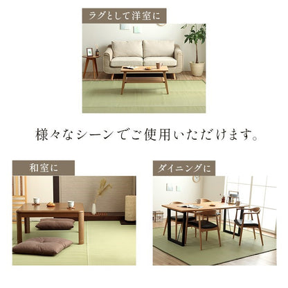 洗える ござ 日本製 国産 カーペット 丈夫 除菌スプレー対応 敷詰 ラグ 敷物 ペット 無地 グリーン 江戸間1畳(約87×174cm) 五木(代引不可)