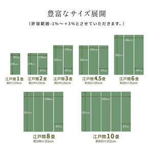 洗える ござ 日本製 国産 カーペット 丈夫 除菌スプレー対応 敷詰 ラグ 敷物 ペット 無地 グリーン 江戸間1畳(約87×174cm) 五木(代引不可)