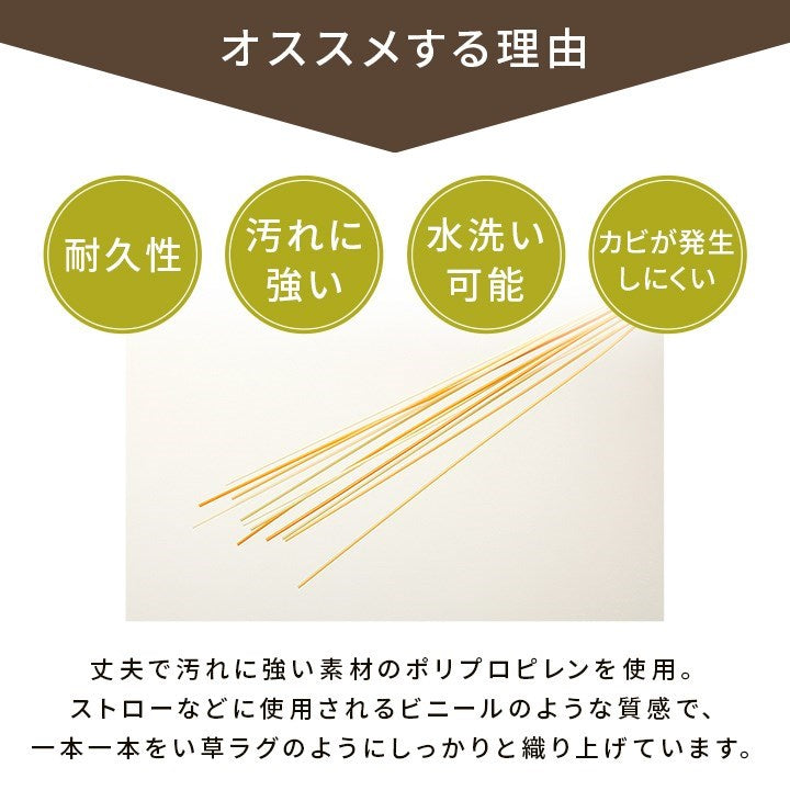 洗える ござ 日本製 国産 カーペット 丈夫 除菌スプレー対応 敷詰 ラグ 敷物 ペット 無地 グリーン 江戸間1畳(約87×174cm) 五木(代引不可)