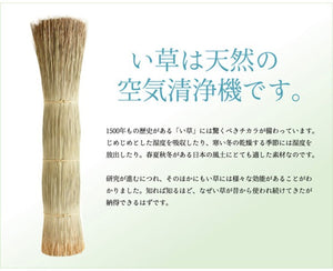 純国産 い草 上敷き カーペット 糸引織 『岩木』 江戸間4.5畳(約261×261cm) 岩木(代引不可)