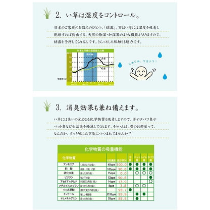 純国産 い草花ござカーペット 『カイン』 ブルー 江戸間6畳(約261×352cm) カイン(代引不可)