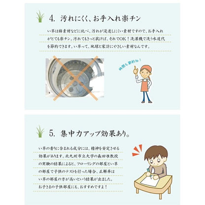 純国産 い草花ござカーペット 『カイン』 ブルー 江戸間6畳(約261×352cm) カイン(代引不可)