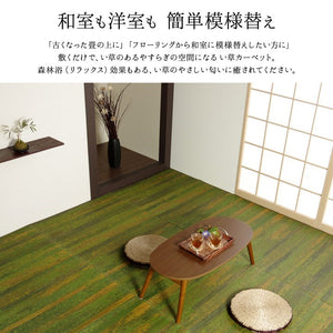 純国産 い草花ござカーペット 『カイン』 ブルー 江戸間6畳(約261×352cm) カイン(代引不可)