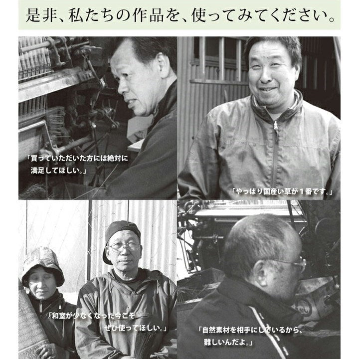 純国産 い草花ござカーペット 『カイン』 ブルー 江戸間6畳(約261×352cm) カイン(代引不可)