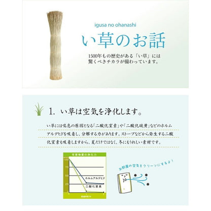 純国産 い草花ござカーペット 『カイン』 ブルー 江戸間6畳(約261×352cm) カイン(代引不可)