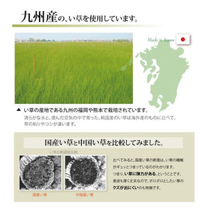 純国産 い草 上敷き カーペット 糸引織 『柿田川』 江戸間2畳(約176×176cm) 柿田川(代引不可)