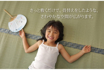 純国産 い草 上敷き カーペット 糸引織 『柿田川』 江戸間6畳(約261×352cm) 柿田川(代引不可)