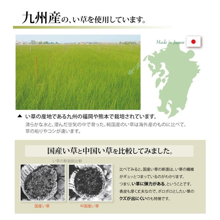 純国産 い草 上敷き カーペット 糸引織 『柿田川』 江戸間6畳(約261×352cm) 柿田川(代引不可)