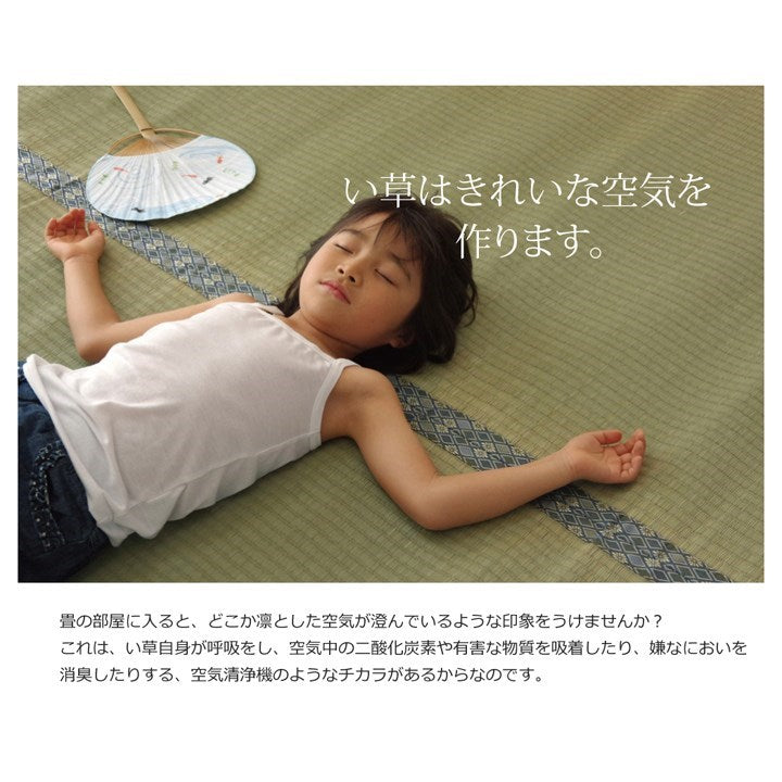 純国産 い草 上敷き カーペット 糸引織 『柿田川』 江戸間6畳(約261×352cm) 柿田川(代引不可)