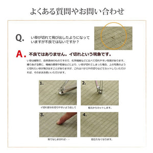 純国産 い草 上敷き カーペット 糸引織 『柿田川』 江戸間8畳(約352×352cm) 柿田川(代引不可)
