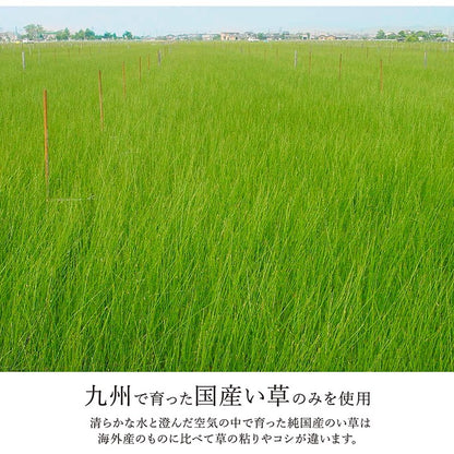 ラグ い草 約191×250cm モダン 純国産 国産 日本製 ウレタン 抗菌防臭 自然素材 カーペット 絨毯 じゅうたん マット インテリア 北欧 おしゃれ オールシーズン 新生活 リビング(代引不可)