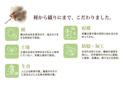 布団カバー 無地 洗える オーガニックコットン使用 『マドラス 枕カバー』 ブルー 約43×63cm マドラス(代引不可)