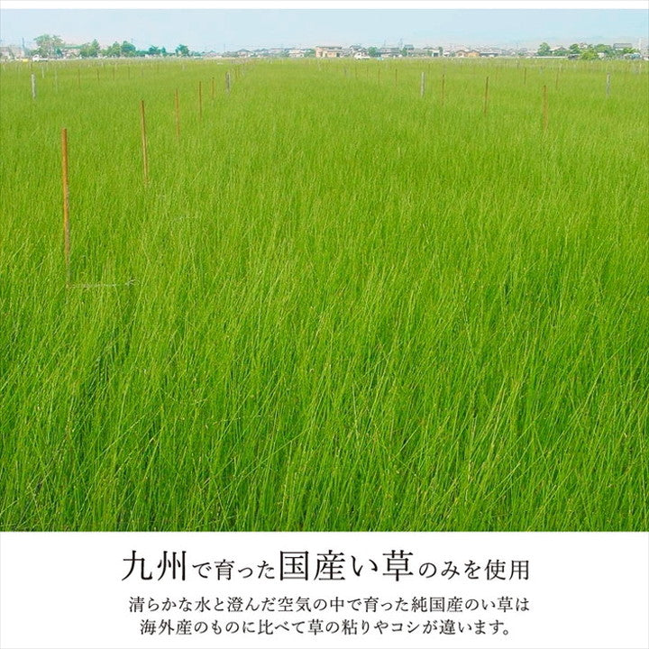 カーペット ござ 日本製 江戸間3畳 約174×261cm 国産 敷詰 ラグ 敷物 ナチュラルスタイル い草 消臭 抗菌防臭 防炎 市松 シンプル 新生活 インテリア おしゃれ かわいい オールシーズン(代引不可)