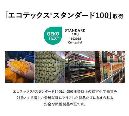 ウィルトン玄関マット 玄関 マット トルコ製 ウィルトン 織り 民族柄 エスニック モダン シンプル ナチュラル 立体感 抗菌防臭 消臭 丈夫 へたりにくい 1年中 ソファー前用 ベッドサイド用 約60×90cm(代引不可)