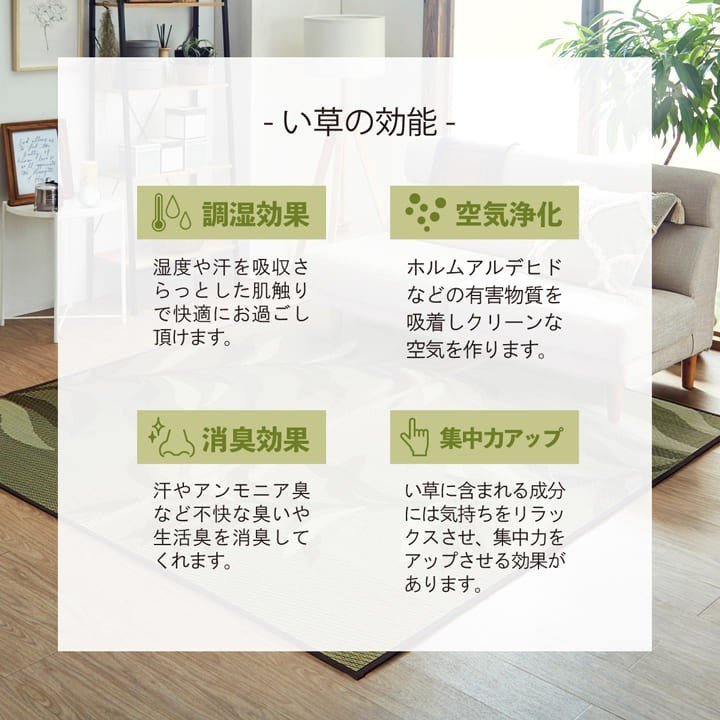 い草ラグ 消臭 カーペット 長方形 ブルー 約191×300cm (裏:不織布) 滑りにくい加工 プレア(代引不可)