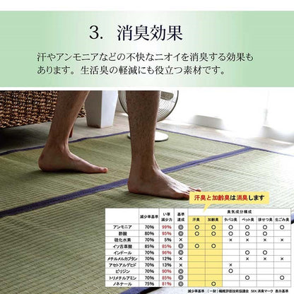 ラグ マット 正方形 い草 191×191cm 夏用 沖縄ビーグ 調温 空気浄化 消臭 不織布 国産 日本製 インテリア おしゃれ オールシーズン 和室 カーペット 絨毯 じゅうたん 新生活 シンプル(代引不可)