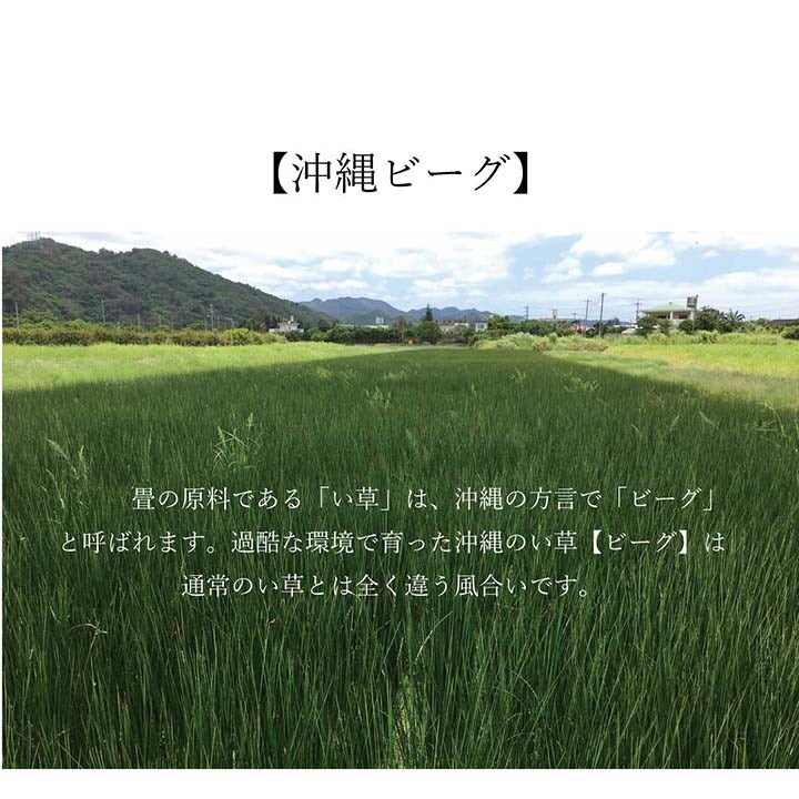 ラグ マット 正方形 い草 191×191cm 夏用 沖縄ビーグ 調温 空気浄化 消臭 不織布 国産 日本製 インテリア おしゃれ オールシーズン 和室 カーペット 絨毯 じゅうたん 新生活 シンプル(代引不可)