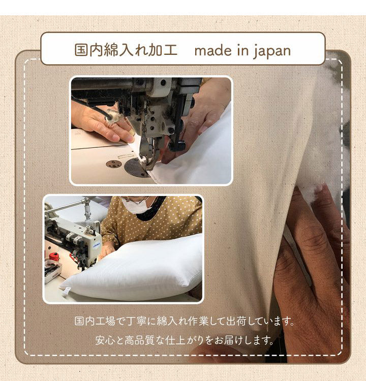 オーガニックコットン クッション シート 角丸 椅子 43×43cm 日本製 洗える 綿100% ボーダー チェア いす シートクッション おしゃれ かわいい ポール(代引不可)